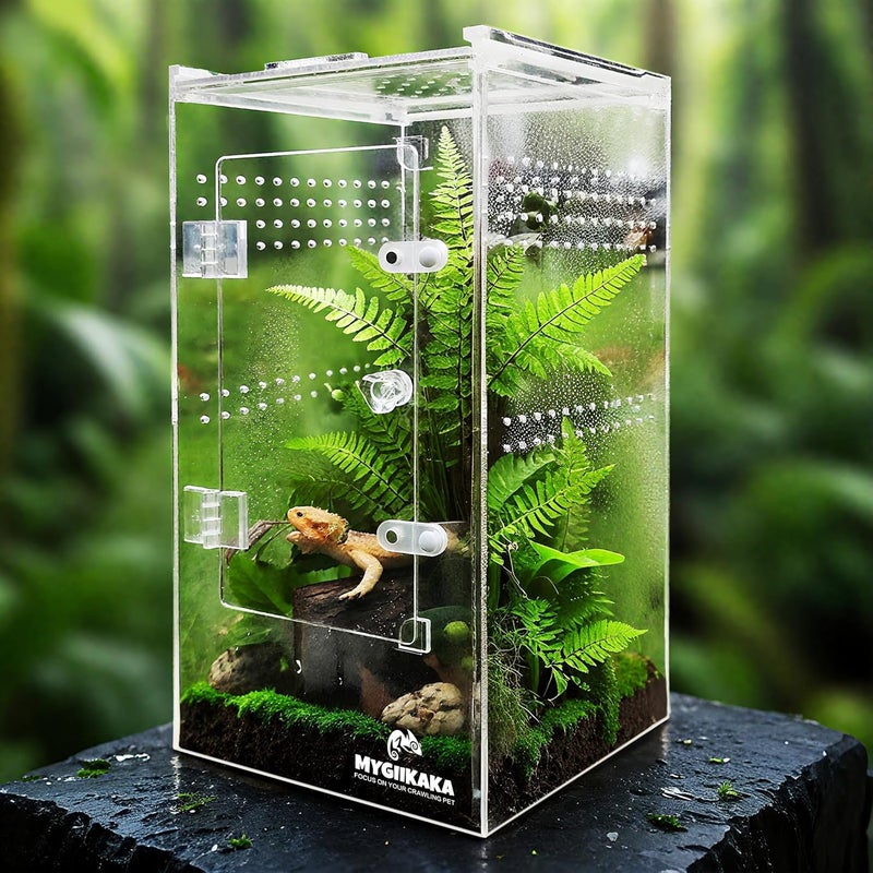 MYGIIKAKA Jumping Spider Enclosure Accessories, Tarantula Spider Box, Bug Cage, Praying Mantis Habitat Enclosure, Snail Insect Terrarium, Caterpillar Habitat (6x6x12 inch) - Image 1